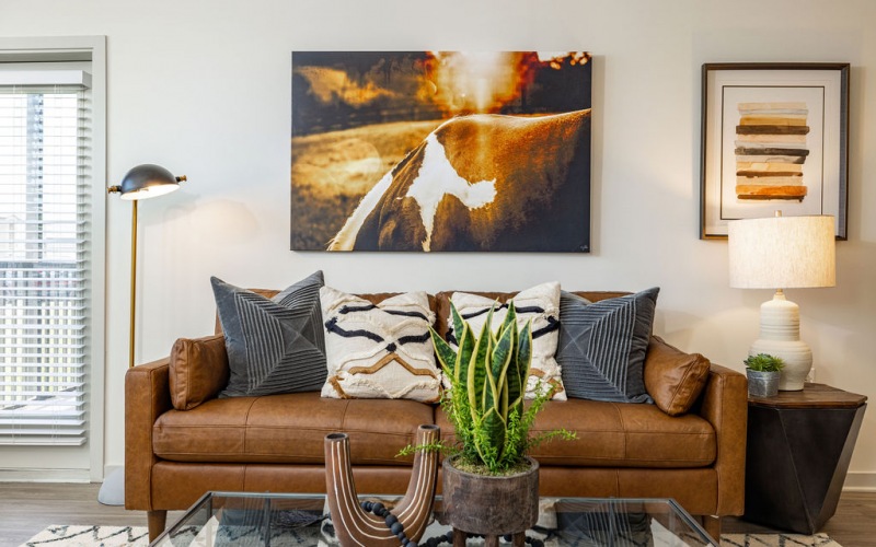 Living Room with Furnishings